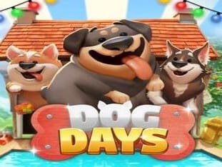 Dog Days game thumbnail
